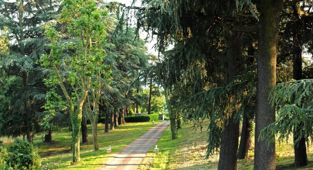 Saint-Jean-Bonnefonds Logis De Nantas Bed & Breakfast エクステリア 写真